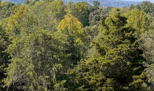 Photo #32 of Horseshoe Creek Ln, Amherst, VA 34.0 acres