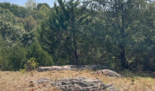 Photo #23 of Horseshoe Creek Ln, Amherst, VA 34.0 acres
