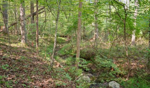 Photo #3 of Hayshed Lot 3 Road, Amherst, VA 5.0 acres