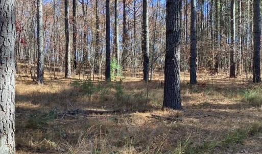 Photo #21 of Lewis Ford Road, Brookneal, VA 45.1 acres