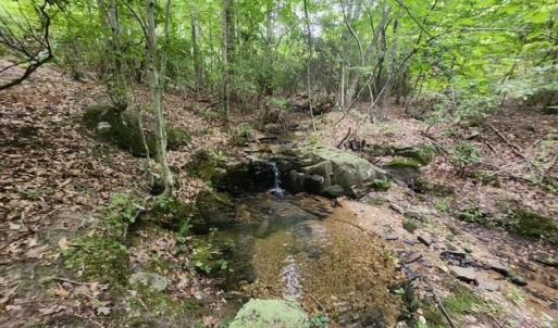 Photo #32 of Lewis Ford Road, Brookneal, VA 45.1 acres