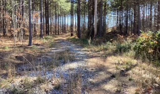 Photo #17 of Lewis Ford Road, Brookneal, VA 45.1 acres