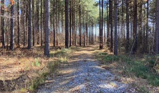 Photo #18 of Lewis Ford Road, Brookneal, VA 45.1 acres