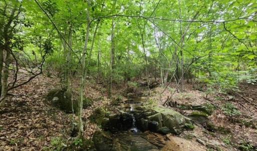 Photo #34 of Lewis Ford Road, Brookneal, VA 45.1 acres
