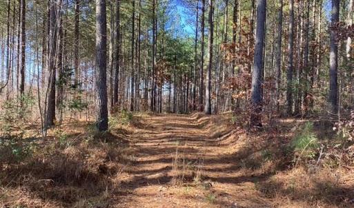 Photo #1 of Lewis Ford Road, Brookneal, VA 45.1 acres