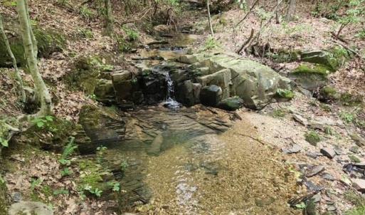 Photo #36 of Lewis Ford Road, Brookneal, VA 45.1 acres