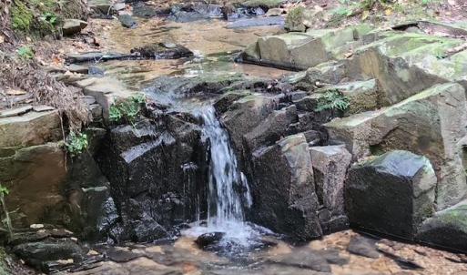 Photo #33 of Lewis Ford Road, Brookneal, VA 45.1 acres
