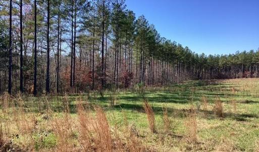 Photo #16 of Lewis Ford Road, Brookneal, VA 45.1 acres