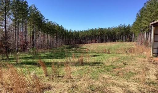 Photo #15 of Lewis Ford Road, Brookneal, VA 45.1 acres