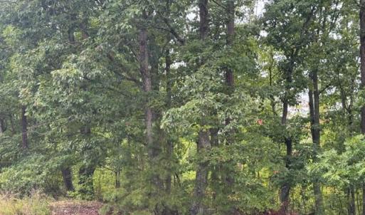 Photo #1 of James Anderson Highway, Gladstone, VA 26.1 acres