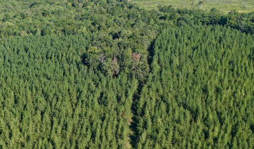 Photo #44 of 799 Sunnyside Rd, Arvonia, VA 140.0 acres