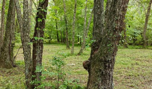 Photo #48 of 799 Sunnyside Rd, Arvonia, VA 140.0 acres