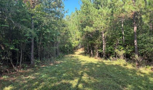 Photo #20 of 799 Sunnyside Rd, Arvonia, VA 140.0 acres