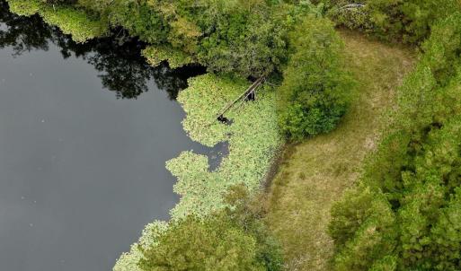 Photo #29 of 799 Sunnyside Rd, Arvonia, VA 140.0 acres