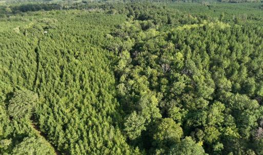 Photo #23 of 799 Sunnyside Rd, Arvonia, VA 140.0 acres