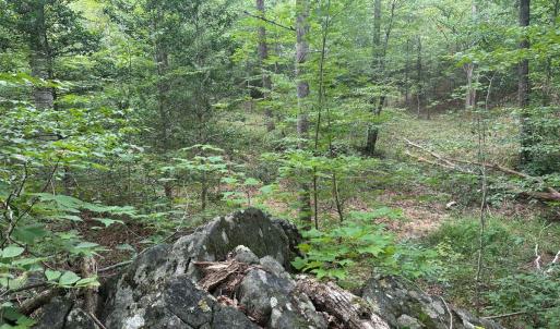 Photo #19 of 799 Sunnyside Rd, Arvonia, VA 140.0 acres