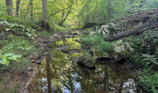 Photo #3 of 799 Sunnyside Rd, Arvonia, VA 140.0 acres