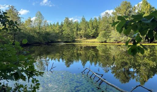 Photo #1 of 799 Sunnyside Rd, Arvonia, VA 140.0 acres