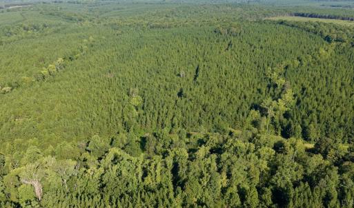 Photo #37 of 799 Sunnyside Rd, Arvonia, VA 140.0 acres