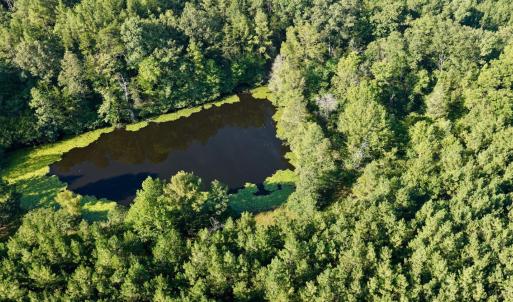 Photo #42 of 799 Sunnyside Rd, Arvonia, VA 140.0 acres