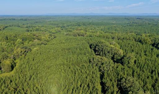 Photo #39 of 799 Sunnyside Rd, Arvonia, VA 140.0 acres