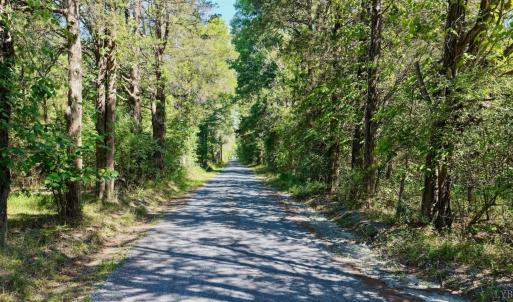 Photo #38 of 799 Sunnyside Rd, Arvonia, VA 140.0 acres
