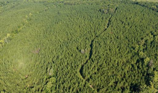 Photo #36 of 799 Sunnyside Rd, Arvonia, VA 140.0 acres