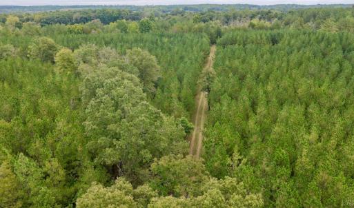 Photo #18 of 799 Sunnyside Rd, Arvonia, VA 140.0 acres