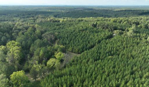 Photo #30 of 799 Sunnyside Rd, Arvonia, VA 140.0 acres