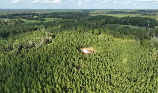 Photo #8 of 799 Sunnyside Rd, Arvonia, VA 140.0 acres