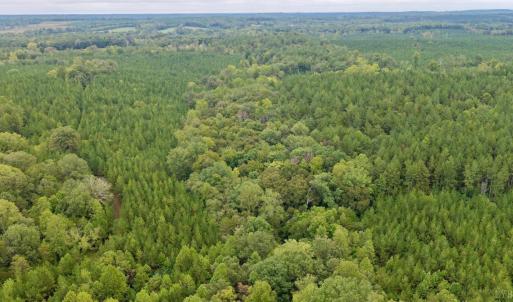 Photo #47 of 799 Sunnyside Rd, Arvonia, VA 140.0 acres