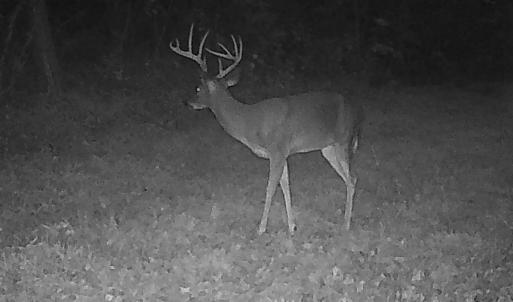 Photo #9 of 799 Sunnyside Rd, Arvonia, VA 140.0 acres