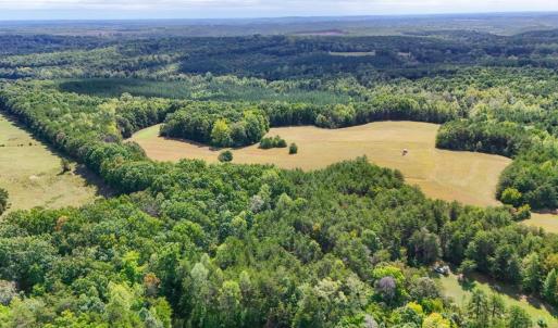 Photo #15 of Tabor Road, Gladys, VA 40.6 acres