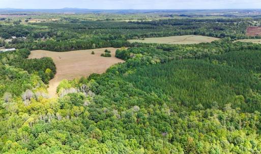 Photo #23 of Tabor Road, Gladys, VA 40.6 acres