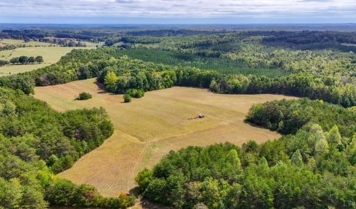 Photo #28 of Tabor Road, Gladys, VA 40.6 acres