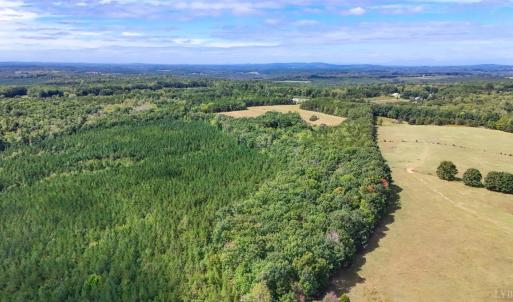Photo #17 of Tabor Road, Gladys, VA 40.6 acres