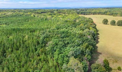 Photo #30 of Tabor Road, Gladys, VA 40.6 acres