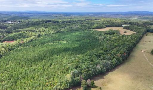 Photo #12 of Tabor Road, Gladys, VA 40.6 acres