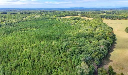 Photo #16 of Tabor Road, Gladys, VA 40.6 acres