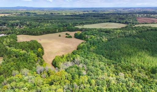 Photo #22 of Tabor Road, Gladys, VA 40.6 acres