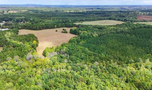 Photo #14 of Tabor Road, Gladys, VA 40.6 acres