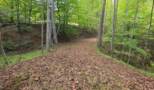Photo #14 of BROOKWOOD Drive, Evington, VA 3.8 acres