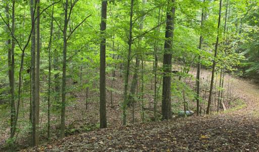 Photo #16 of BROOKWOOD Drive, Evington, VA 3.8 acres