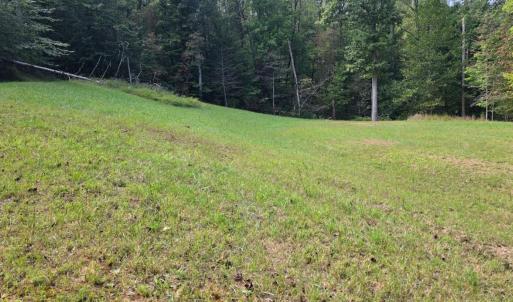 Photo #1 of BROOKWOOD Drive, Evington, VA 3.8 acres