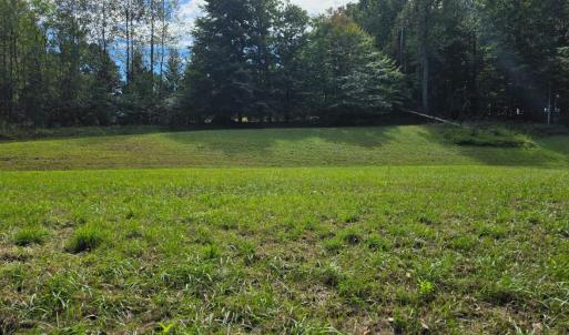 Photo #3 of BROOKWOOD Drive, Evington, VA 3.8 acres