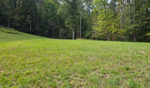 Photo #4 of BROOKWOOD Drive, Evington, VA 3.8 acres