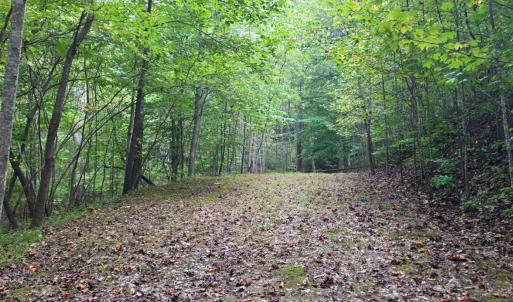 Photo #17 of BROOKWOOD Drive, Evington, VA 3.8 acres