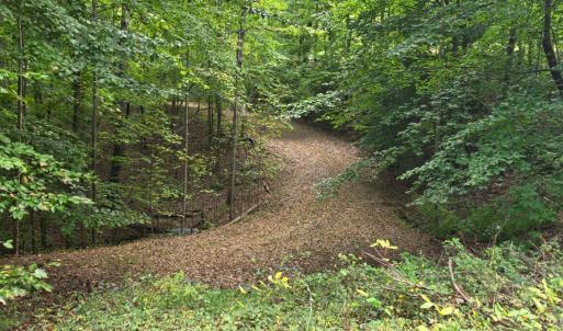 Photo #11 of BROOKWOOD Drive, Evington, VA 3.8 acres