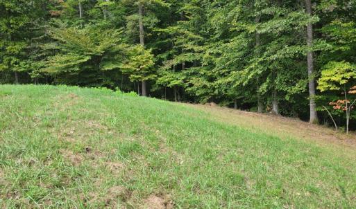 Photo #9 of BROOKWOOD Drive, Evington, VA 3.8 acres