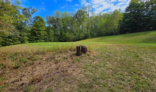 Photo #13 of BROOKWOOD Drive, Evington, VA 3.8 acres
